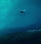 Filename=0180.jpg
Filesize=36KiB
Dimensions=1280x544
Date added=Feb 24, 2019 0180.jpg