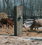 Filename=1721.jpg
Filesize=430KiB
Dimensions=1916x796
Date added=Feb 21, 2019 1721.jpg