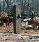 Filename=1722.jpg
Filesize=434KiB
Dimensions=1916x796
Date added=Feb 21, 2019 1722.jpg