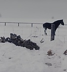 Filename=2361.jpg
Filesize=98KiB
Dimensions=1916x796
Date added=Feb 21, 2019 2361.jpg