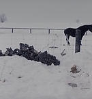 Filename=2386.jpg
Filesize=105KiB
Dimensions=1916x796
Date added=Feb 21, 2019 2386.jpg