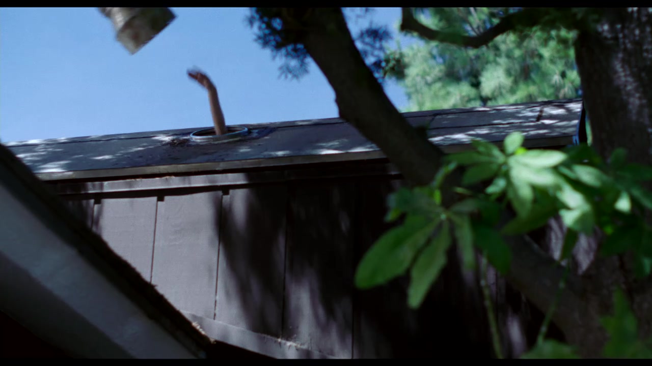 Life_After_Beth__Movie_Trailer__MTV_174.jpg Life_After_Beth__Movie_Trailer__MTV_174.jpg