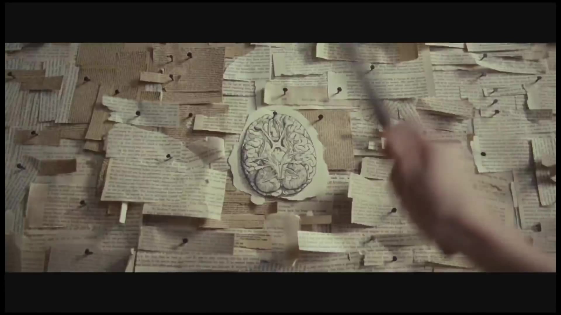 KILL_YOUR_DARLINGS_-_JUNGE_WILDE_german_193.jpg KILL_YOUR_DARLINGS_-_JUNGE_WILDE_german_193.jpg