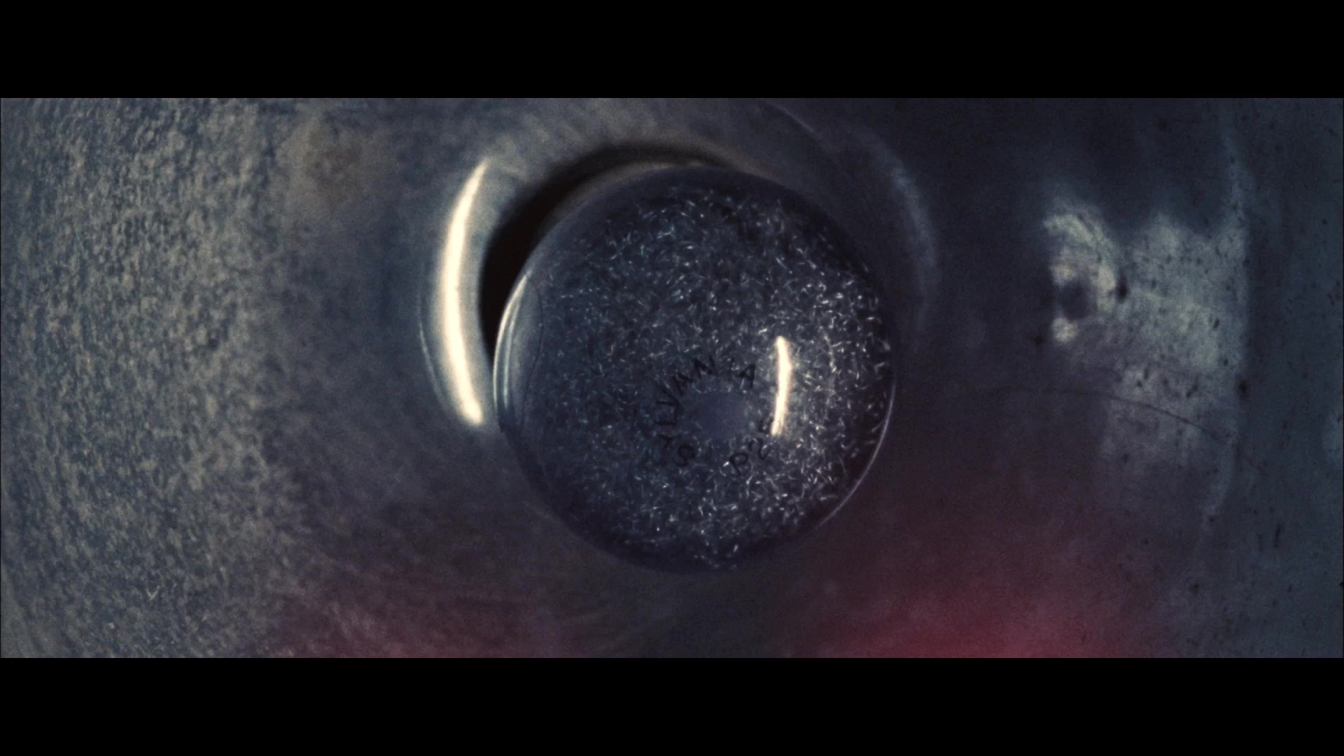 KillYourDarlings_Trailer_0998.jpg KillYourDarlings_Trailer_0998.jpg