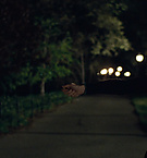 Filename=653.jpg
Filesize=632KiB
Dimensions=1920x800
Date added=Sep 02, 2022 653.jpg