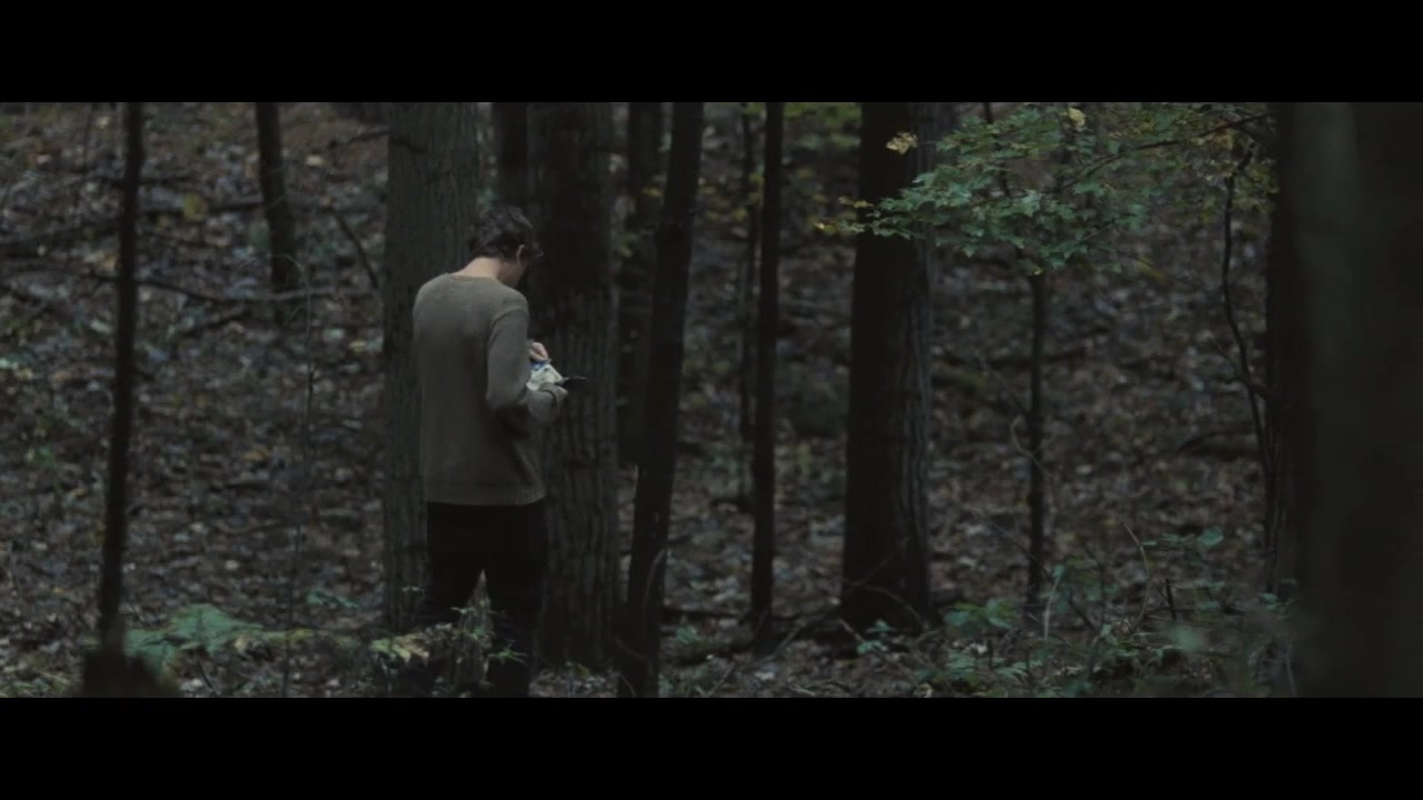 The_Place_Beyond_the_Pines_2012_2057.jpg The_Place_Beyond_the_Pines_2012_2057.jpg