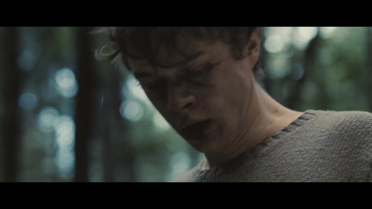 The_Place_Beyond_the_Pines_2012_2071.jpg The_Place_Beyond_the_Pines_2012_2071.jpg