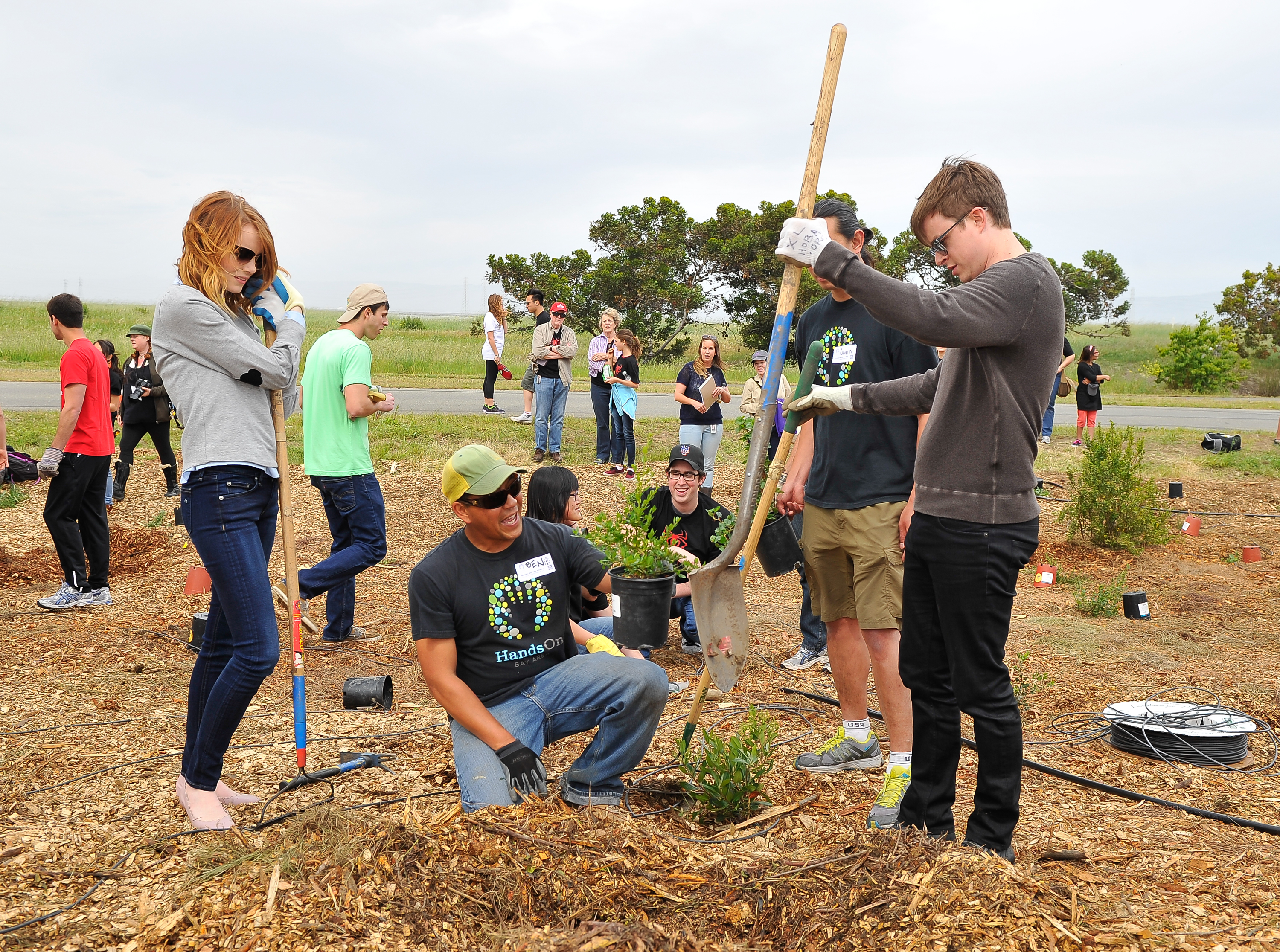HabitatRestorationProject2014_282729.jpg HabitatRestorationProject2014_282729.jpg