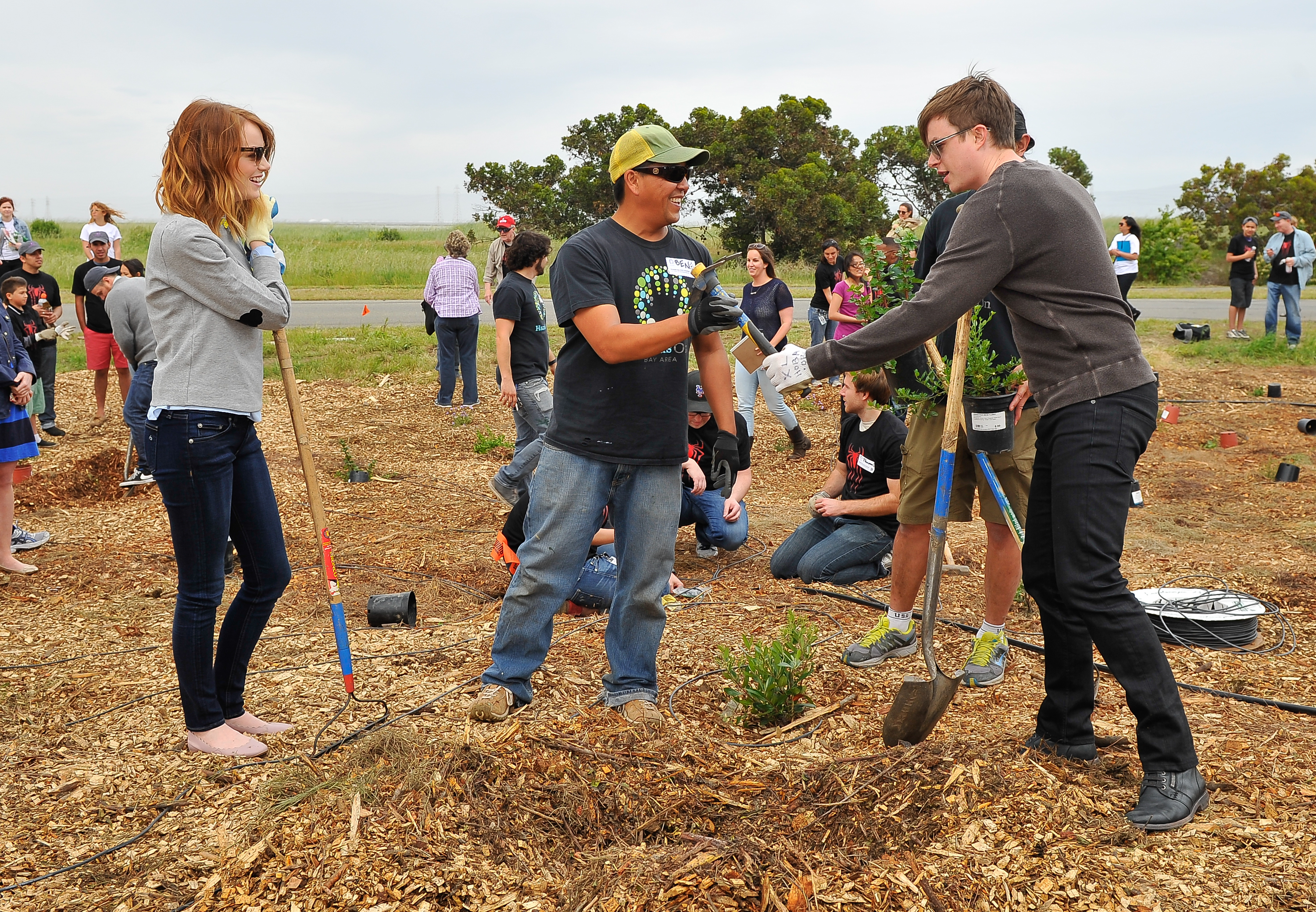 HabitatRestorationProject2014_283129.jpg HabitatRestorationProject2014_283129.jpg