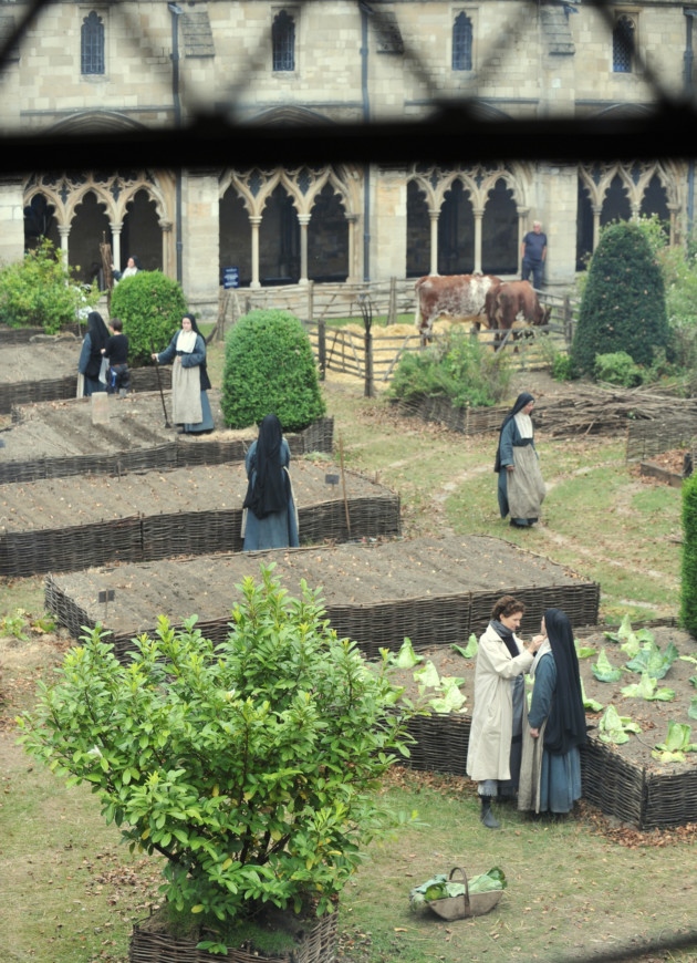 Tulip_Fever_Set_281929.jpg Tulip_Fever_Set_281929.jpg