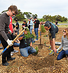 HabitatRestorationProject2014_282429.jpg