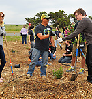 HabitatRestorationProject2014_283129.jpg