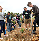 HabitatRestorationProject2014_283829.jpg