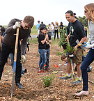HabitatRestorationProject2014_28529.jpg